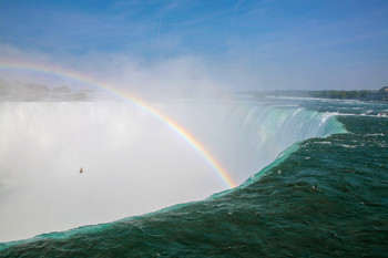 Каждый охотник желает знать ... / ~~~