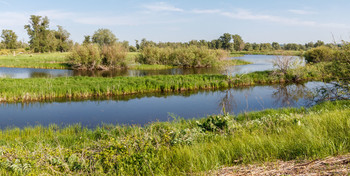 Первый день лета 2019 / 1 июня 2019, Самарская обл.