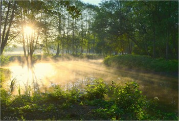 солнечное утро * / ***