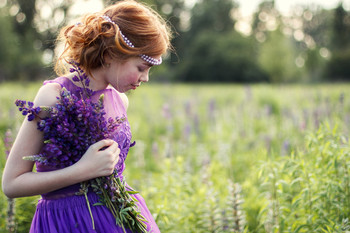 люпиновое настроение / ///