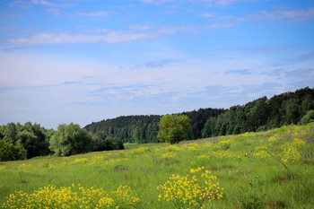 Приокские дали / Приокские дали
