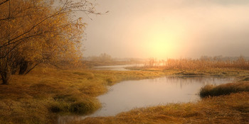 На лугу... / туман