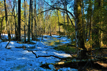 Апрель ... / "Я в весеннем лесу,
 Пил березовый сок ..."