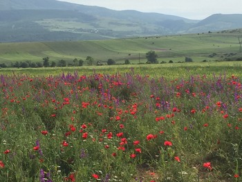 Правильное лето / Грузия