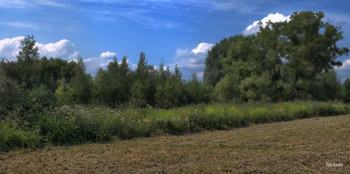 Край родной / Лето