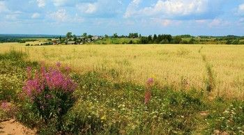 Деревушка на холме ... / Деревенский этюд ...