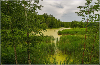 Озеро в лесу 2 / Озеро в лесу