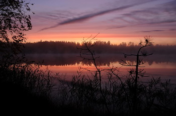 Утренняя тишина / Утренние краски часто вдохновляют фотографов. И этот особый восход не оказался исключением.