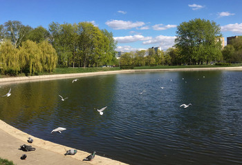 &nbsp; / парк Дружба