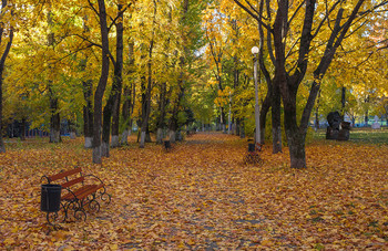 Утро. Парк. Осень / ...