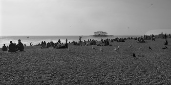 Весна на побережье / Brighton