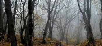 Осенними тропами....... / Железноводск. Октябрь