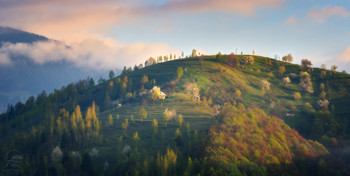 На холмах / Красивые пейзажи Румынии осенью станут просто роскошными. Лес окрашенный охровыми красками на фоне заснеженных горных вершин, живописные деревушки, готические замки полные тайн и загадок, ну и конечно, замечательная еда