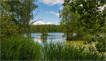 Озеро в лесу 4 / Озеро в лесу
