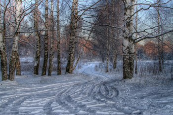 Березки / Мороз