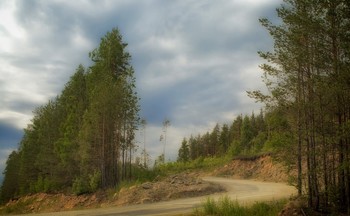 уральская фоточка / Средний Урал, окрестности Невьянска, 29 июня 2019 года от Р. Х.