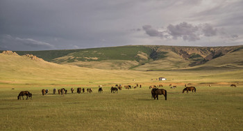 Ходят кони... / Перед дождем.