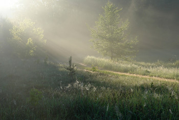Лесная тропинка / Прохлада росы в придорожной траве
Омоет далёкой дороги усталость.
И тянется нить по узорной канве –
Уж пройдено много, и много осталось.
 Г.Шадрина