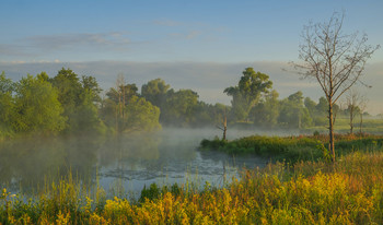 Туман на озере Омут. / Утренний пейзаж на озере Омут, юго-восток Московской области.
