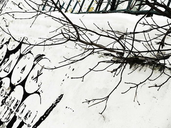 Этюд / 2019-01-31-74-C0-036(82)