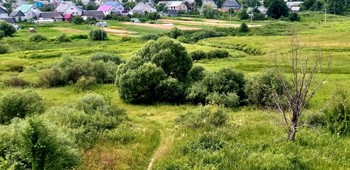 ЛЕТО В ПРИГОРОДЕ / ЛЕТО В ПРИГОРОДЕ