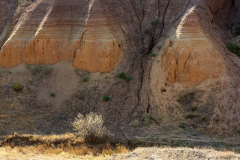 &nbsp; / Наследие ряда ледниковых эпох. 
Ахтубинский берег, Волгоградская область.