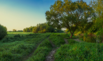 Утренние прогулки вдоль речки... / лето!