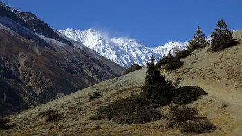Гималайские тропы / Непал. Гималаи