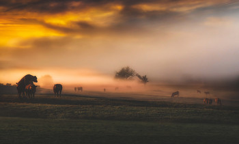 ..Деревенская пастораль или пастушеская поэзия..) / Утро...