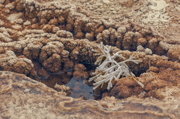 &quot;Снежинка&quot; / Отложения известняковых солей в горячих ключах.
Йе́ллоустонский национа́льный парк (Yellowstone National Park)