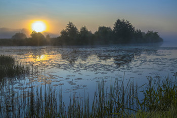 Озеро Сосновое. Рассвет. / Озеро Сосновое юго-восток Московской области.