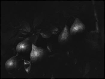 &nbsp; / Описывать фото словами??? Может ещё объяснять смысл анекдотов?