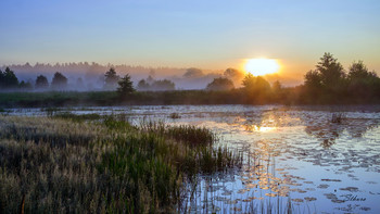 Летнее утро. / Рассвет на озере Сосновое.