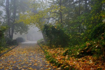 Осенний парк......... / Железноводск. Октябрь