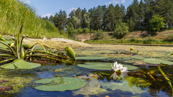 Водный мир / Самарская область