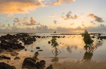 Рассвет на Маврикии / Маврикий