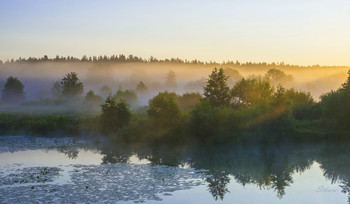 Рассветный туман. / Летнее утро на озере Сосновое.