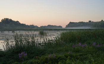 &nbsp; / рассвет,озеро,лето,туман