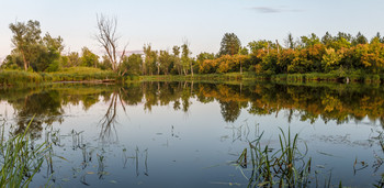 &nbsp; / 28 июля 2019, Самарская обл.