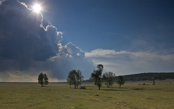 Полдень / ***