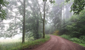 Туманными дорогами / Биосферный заповедник накрыло долгожданным дождем и туманом