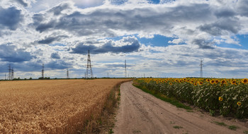 Неравенство сторон / По полевой дороге. Лето 2019.