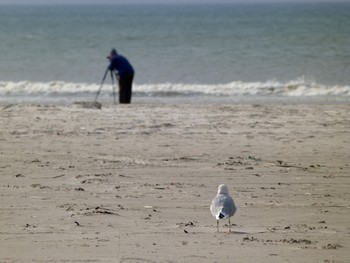 &nbsp; / Dänemark im September, viel Strand und wenig Menschen ...
und manchmal ein Fotograf