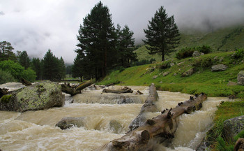 Шоколадная река / Кавказ. Альплагерь Узункол. Река Узункол после ливня