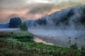 летнее утро на реке / Лето.Утро.Река.Туман.