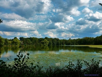 Летом на озере / Альбом «Пейзаж»: http://fotokto.ru/id156888/photo?album=76852
Альбом «Свет, солнце, небо, радуга, облака, луна»: http://fotokto.ru/id156888/photo?album=61877