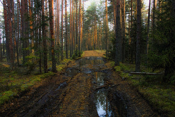 Лесная дорога в ненастье / Осенняя пора.