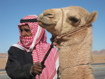 :Жители пустынь. / Иордания.
