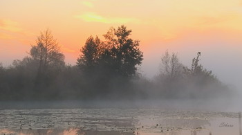 Предрассветный сон. / Утренний туман на озере Сосновое.