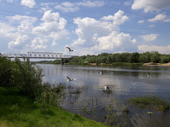 "Птичий пляж" / Река в Европе, левый приток Днепра
